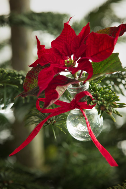 Stelle Di Natale Lavoretti.Lavoretti Di Natale Magic Blitzen